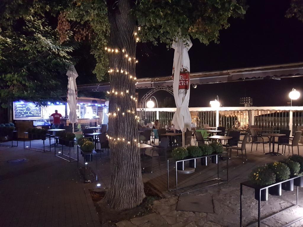 Apartament Aleksandar *